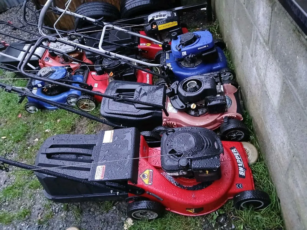 Shed clear out some law more start some don't - Image 3