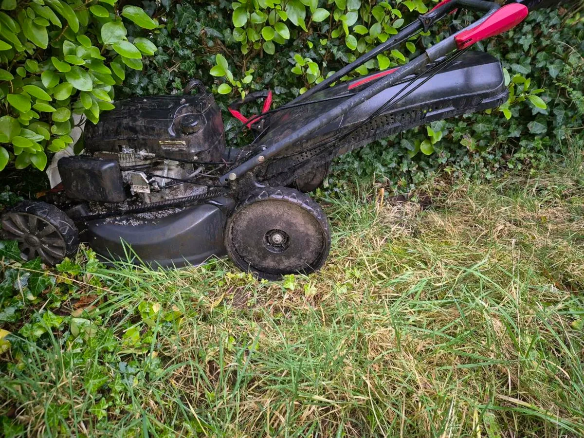 Lawnmower - Image 2