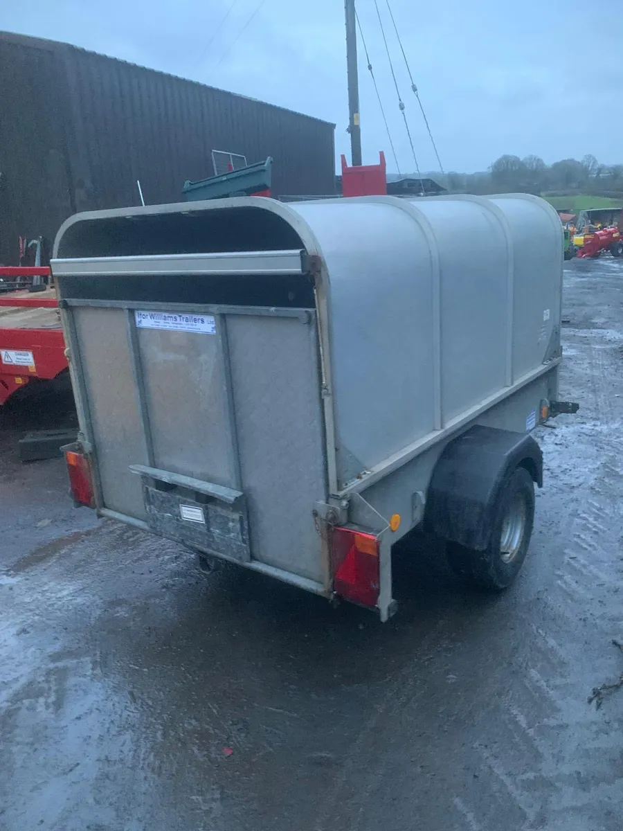 Ifor Williams P6E calf sheep trailer - Image 3