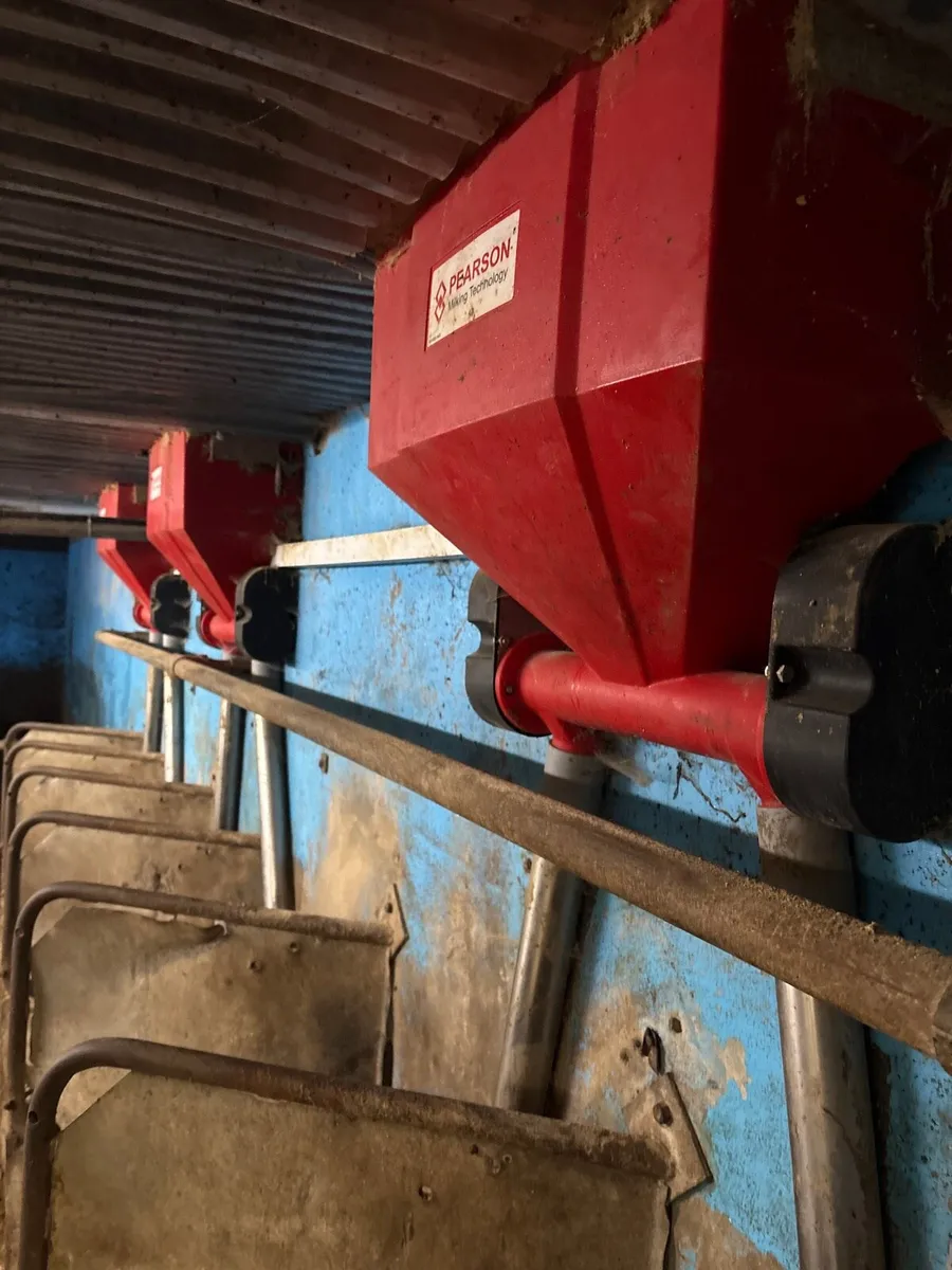 Parlour feeders - Image 1