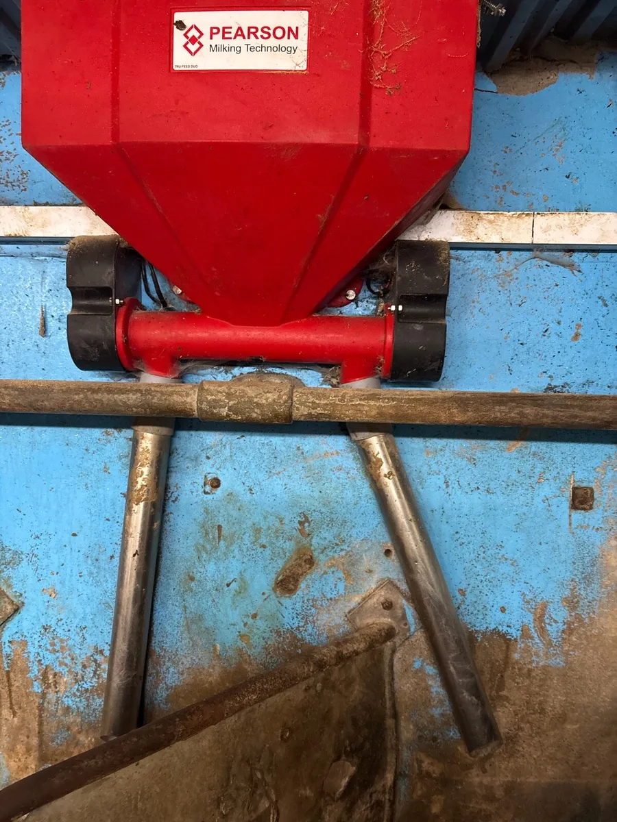 Parlour feeders - Image 4