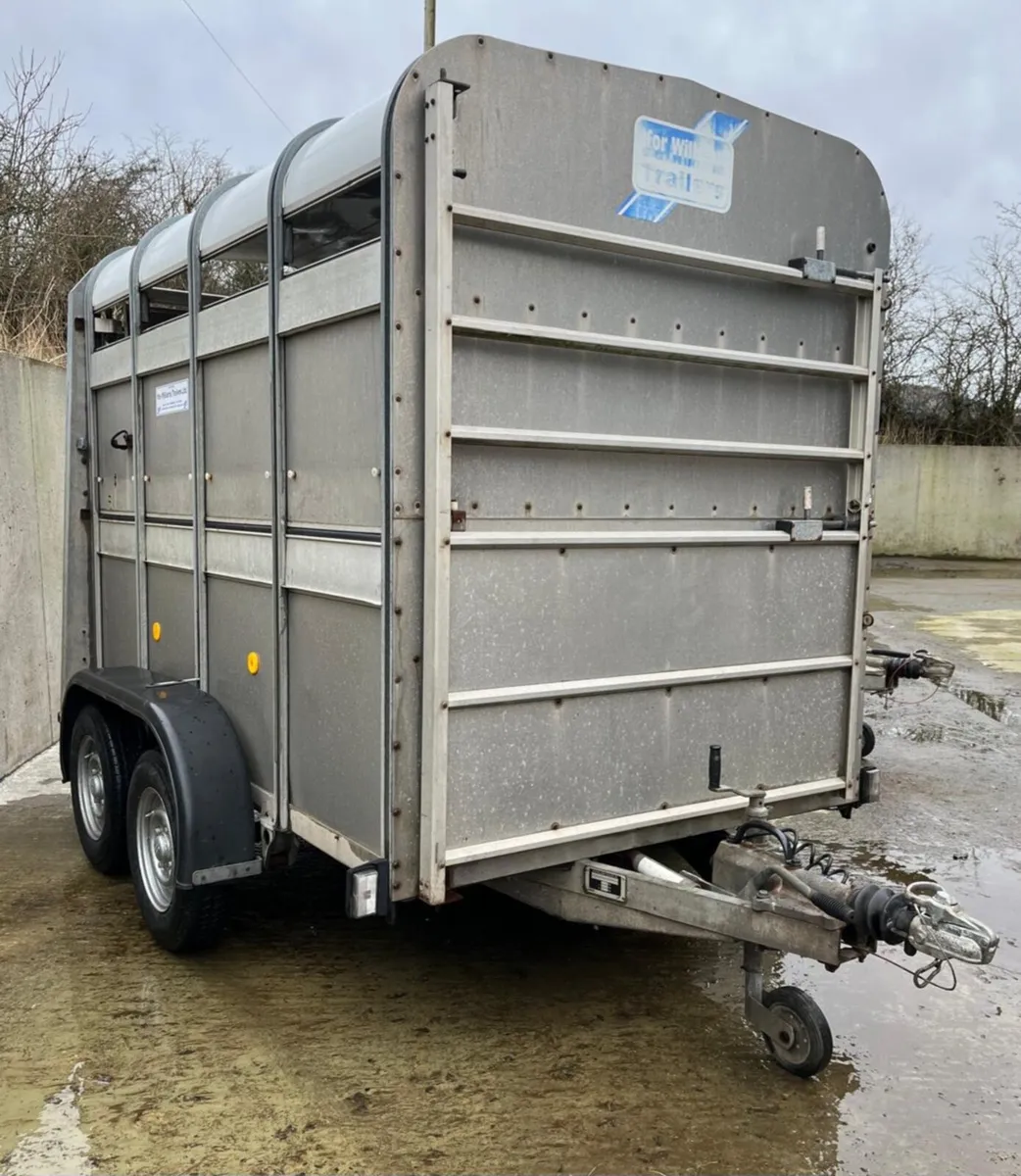 8X5 Ifor Williams livestock Trailer - Image 1