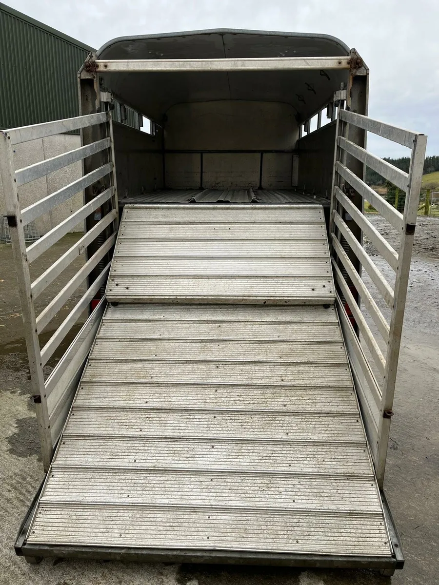 8X5 Ifor Williams livestock Trailer - Image 3