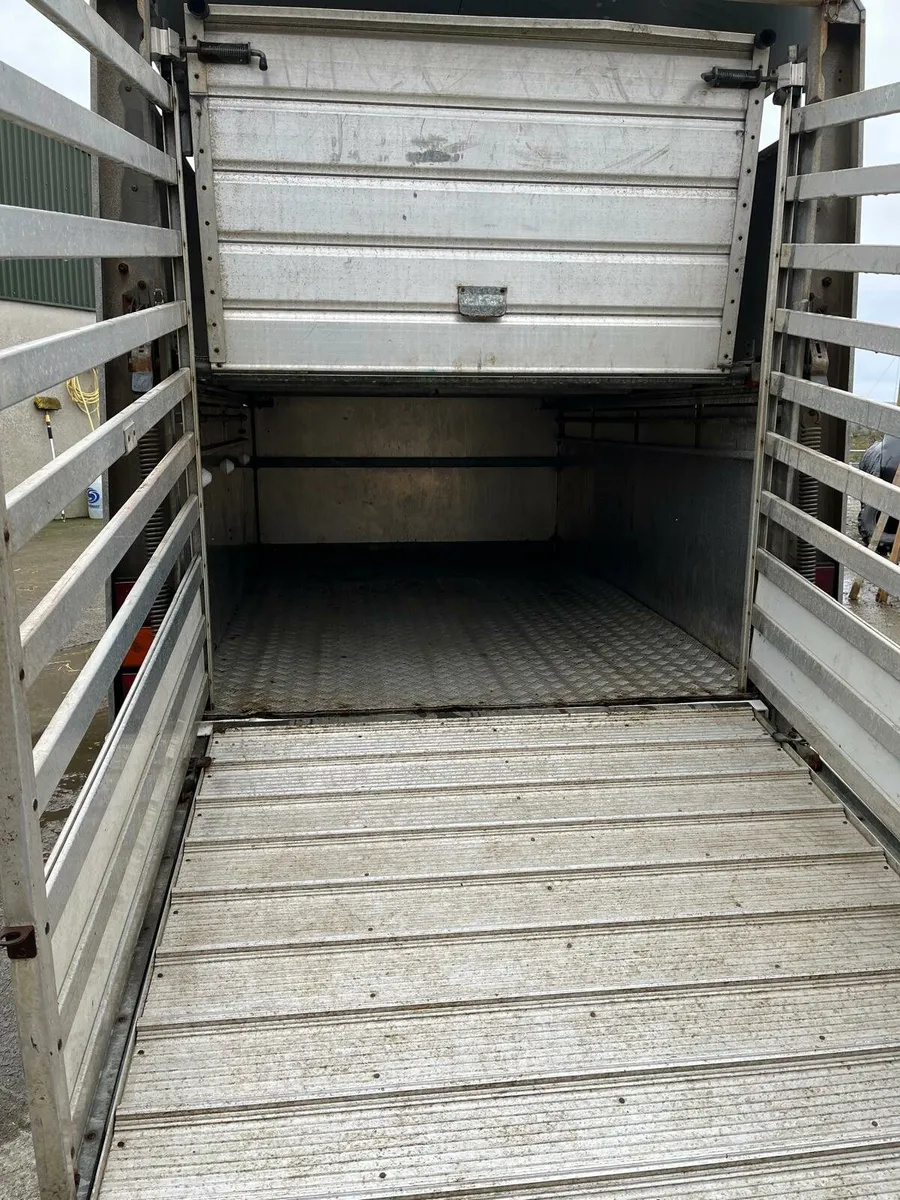 8X5 Ifor Williams livestock Trailer - Image 4