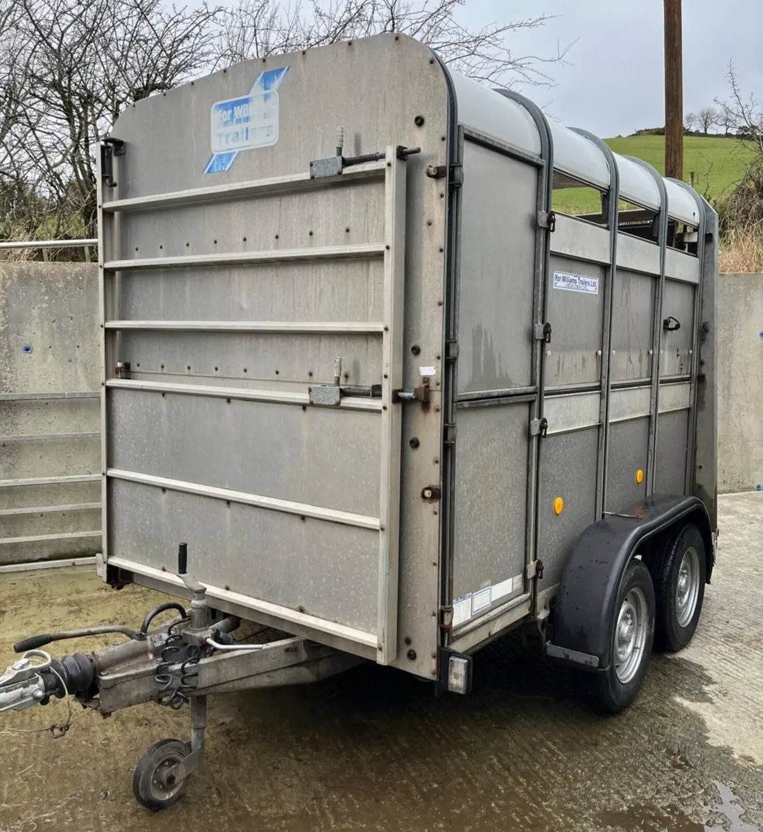 8X5 Ifor Williams livestock Trailer - Image 2