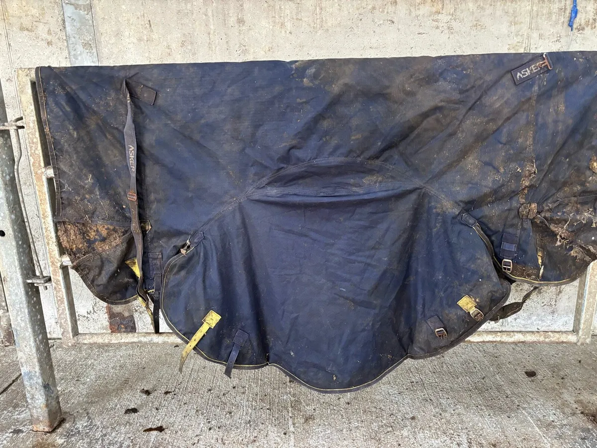 Horse Rugs and Bridals €100 for lot - Image 1