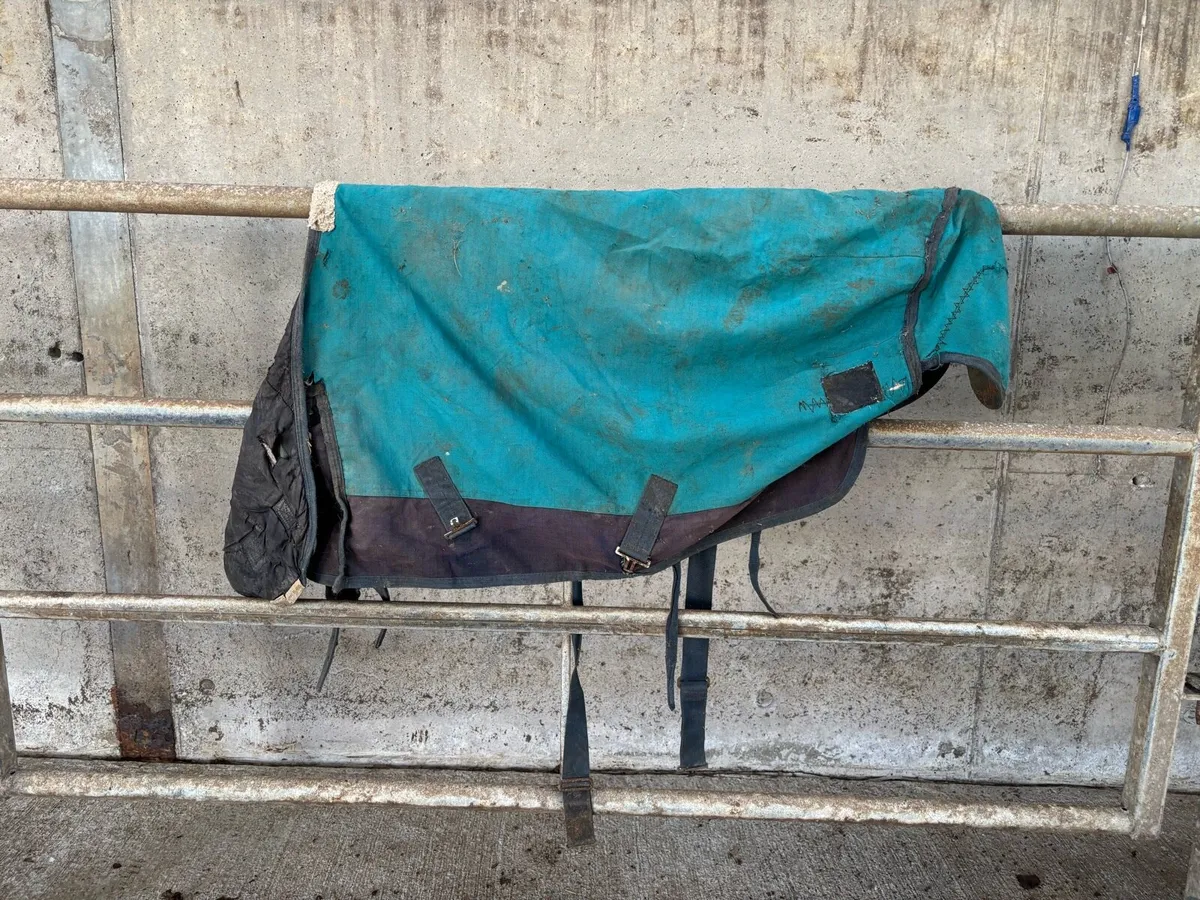 Horse Rugs and Bridals €100 for lot - Image 2