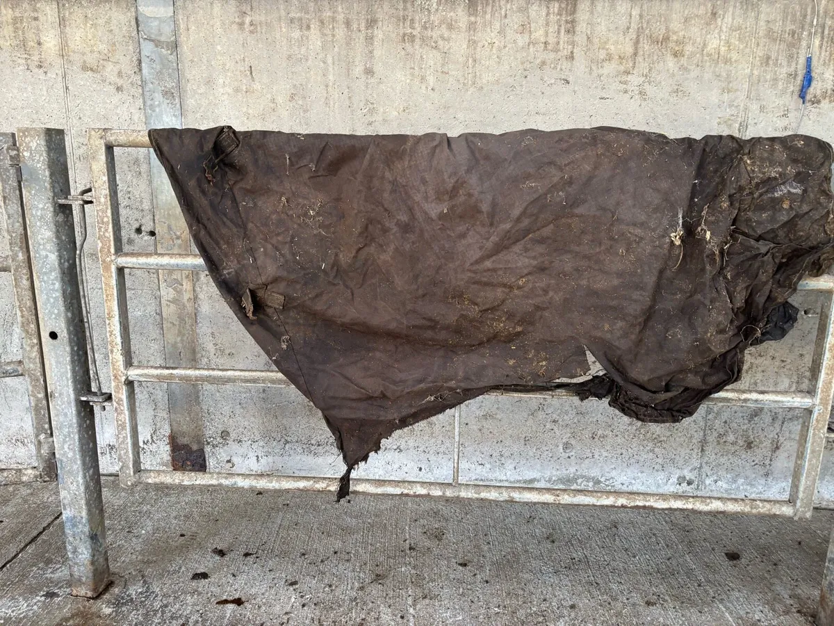 Horse Rugs and Bridals €100 for lot - Image 3