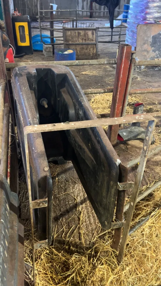 Automatic calf feeder - Image 4