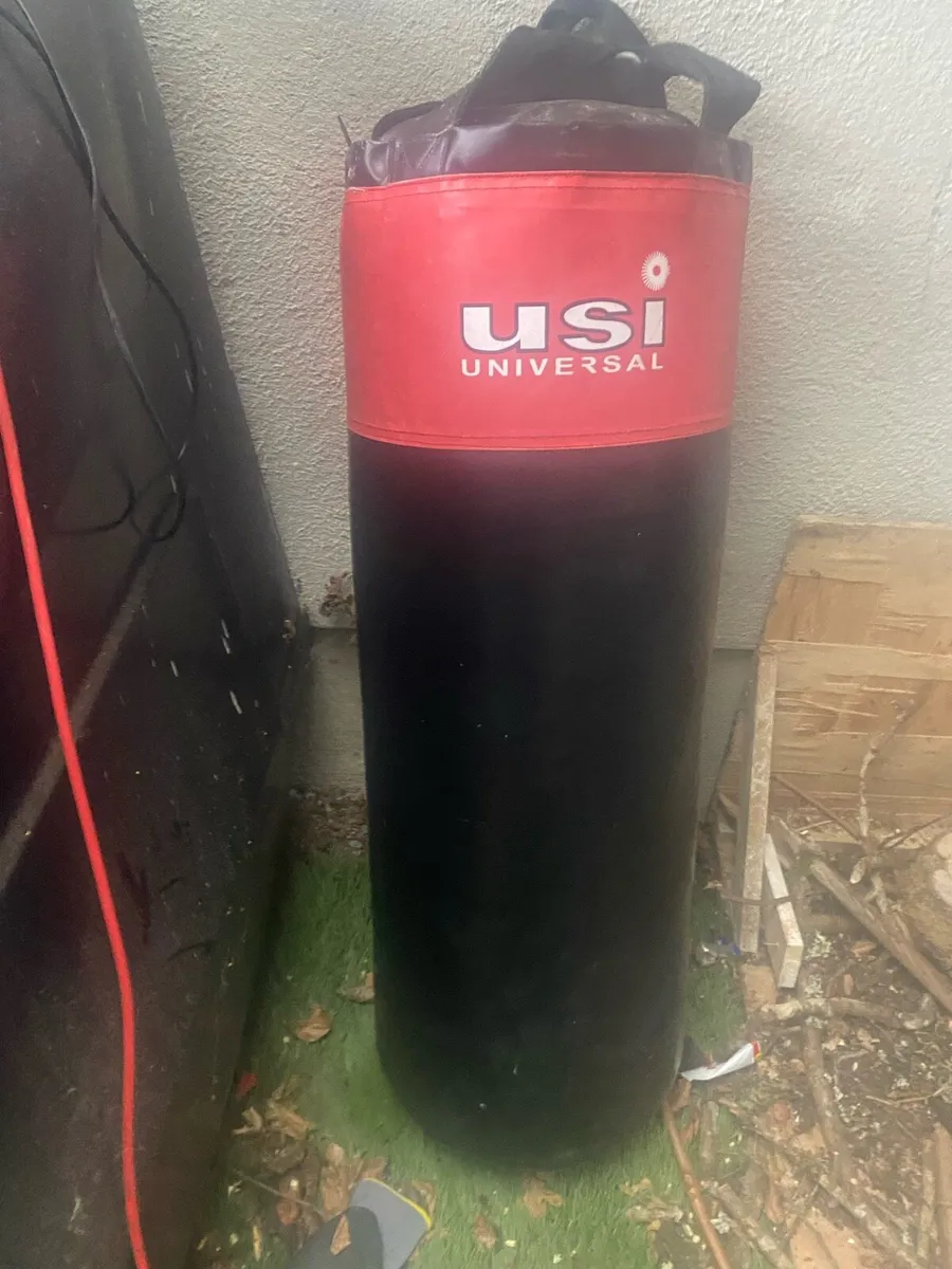 Boxing bag - Image 2