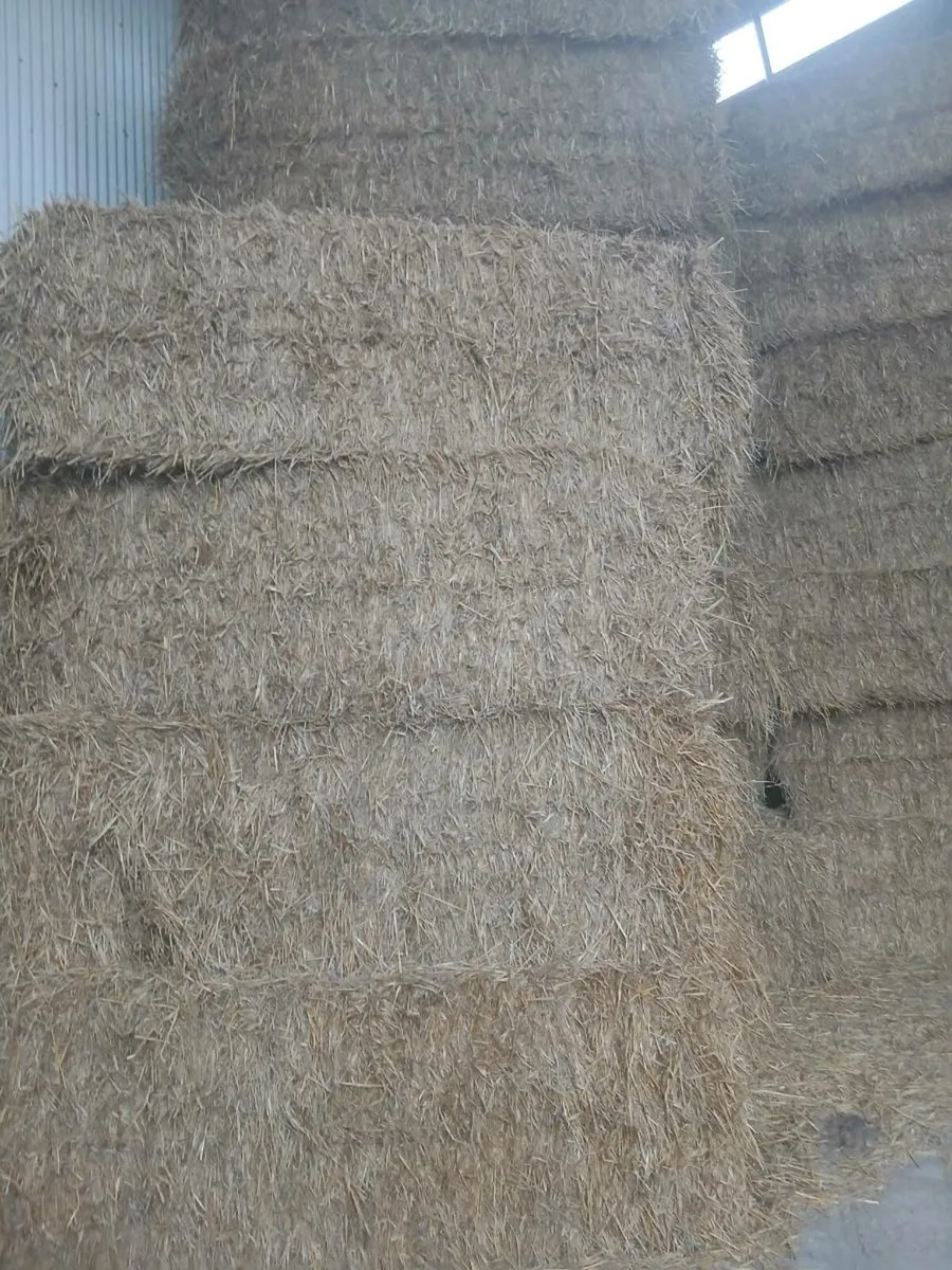Wheaten straw - Image 1