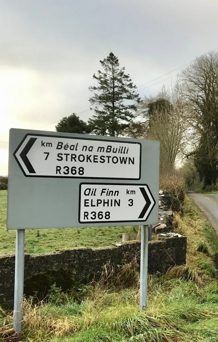 15 Charolais Bullocks • 18/2/2026 - Image 1