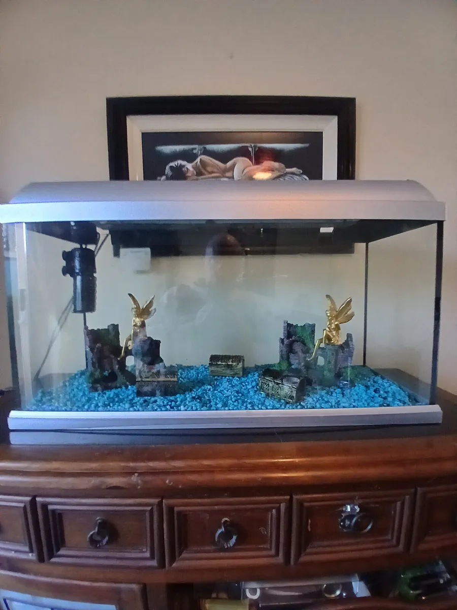 Fish tank - Image 1