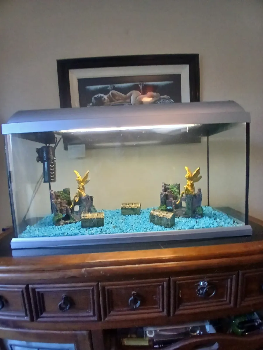 Fish tank - Image 2