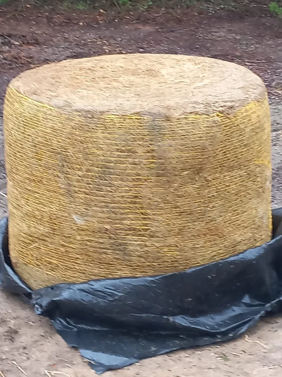 High Quality Silage chopped and extra wrap .