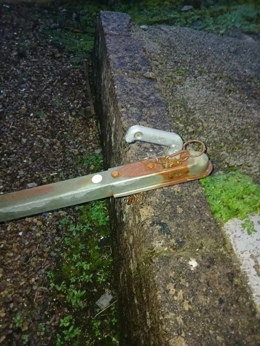 Garden and landscape - Image 3