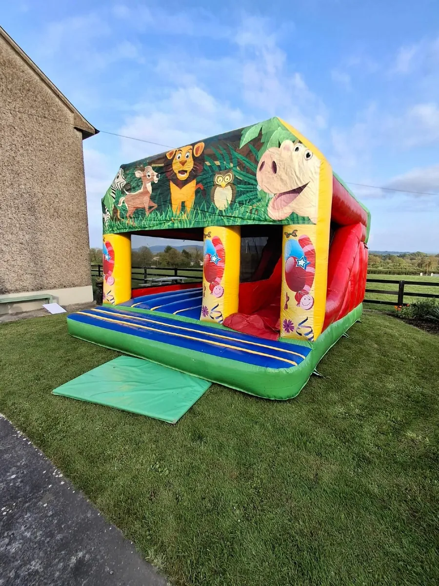Established bouncy castle buisness - Image 3