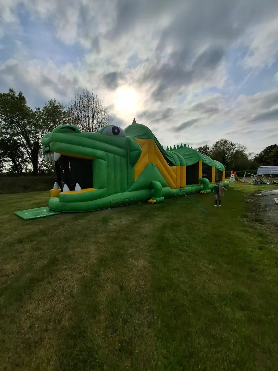 Established bouncy castle buisness - Image 4
