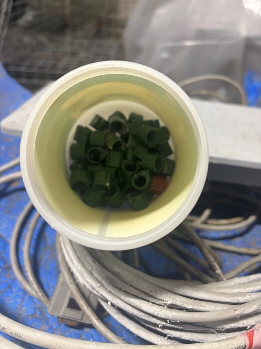 Pigeon Racing Clocks - Image 2