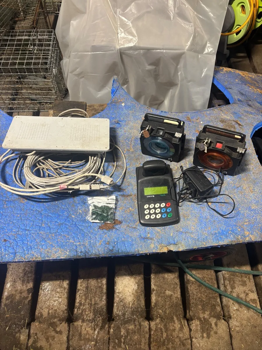 Pigeon Racing Clocks - Image 1