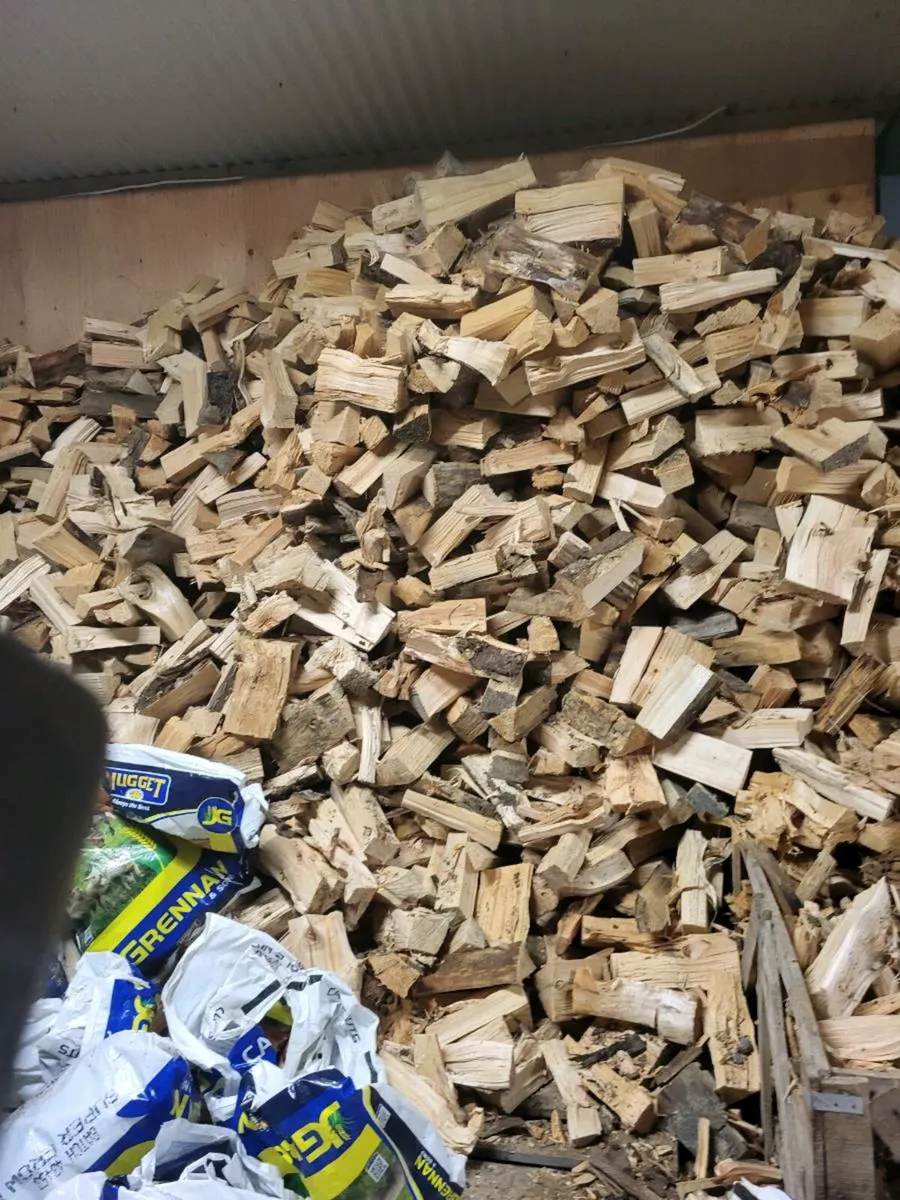 100 bags of softwood - Image 1