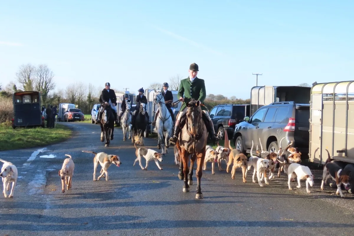 Top Hunter/alrounder - Image 2