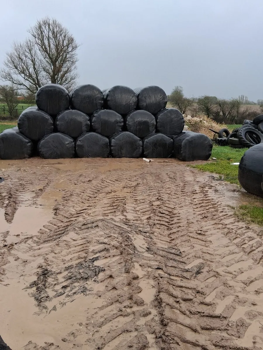 Silage bales