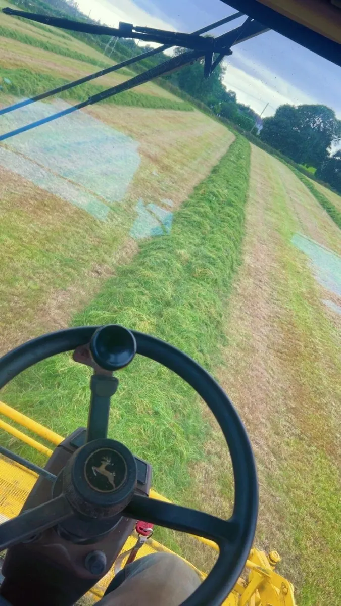 First cut clamp Silage 700-750 tonne - Image 1