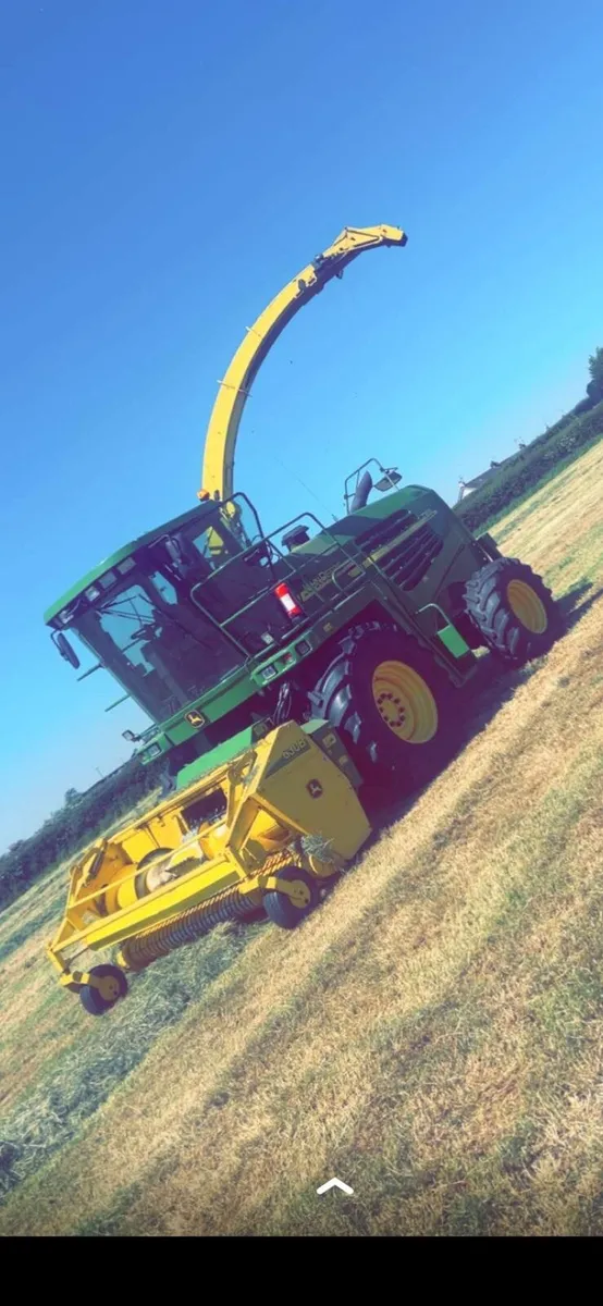 First cut clamp Silage 700-750 tonne - Image 2