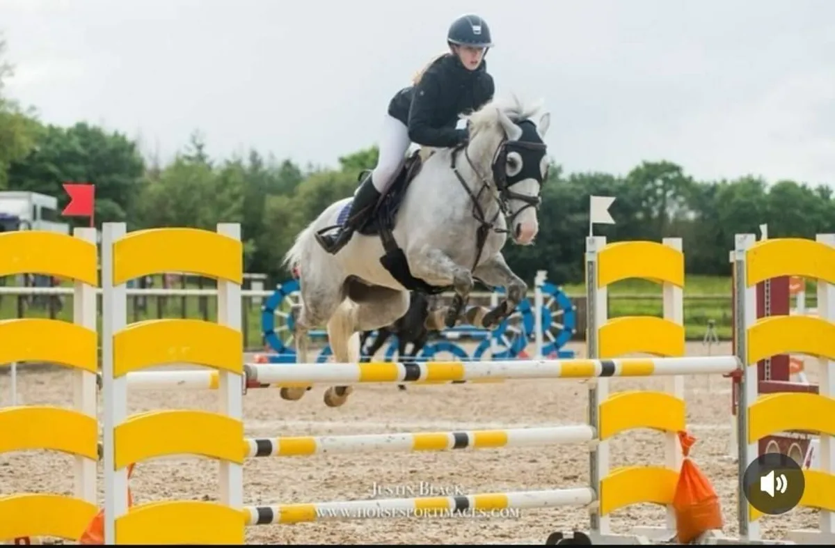 🌟 Super Competitive 148cm 🌟 - Image 3