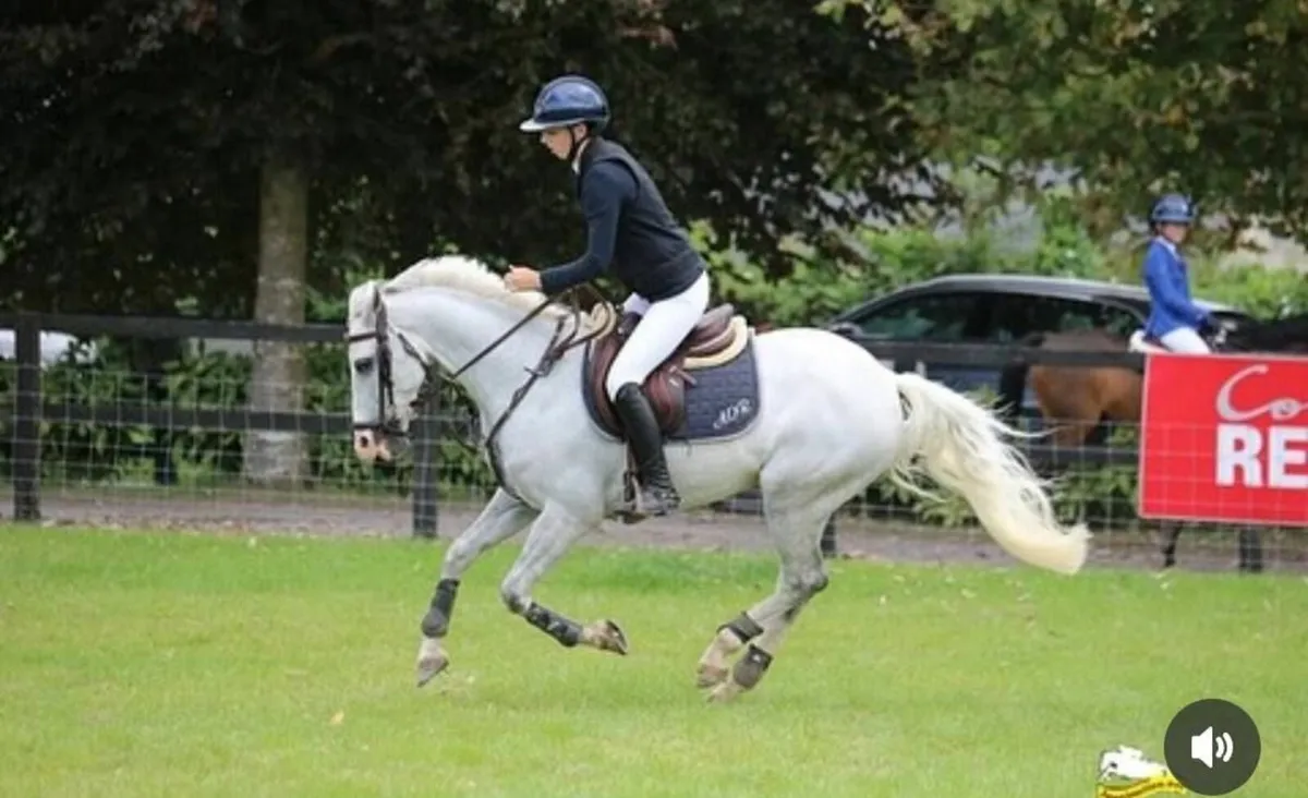 🌟 Super Competitive 148cm 🌟 - Image 4