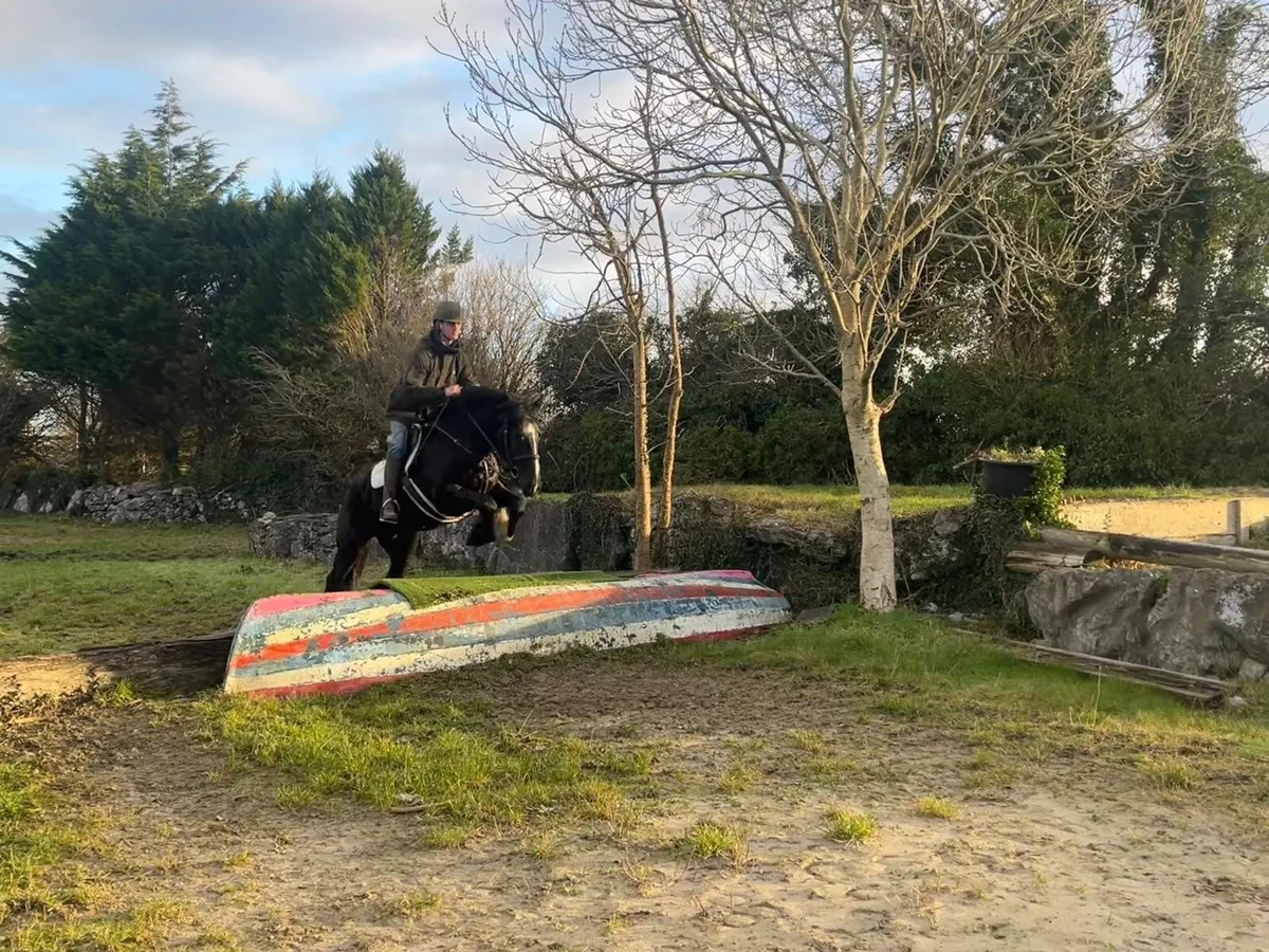 Lot 197 Clifden Sales Friday - Image 3