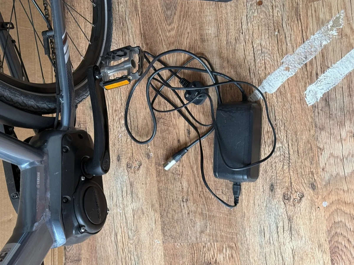 NEW ELECTRIC BIKE - Image 1