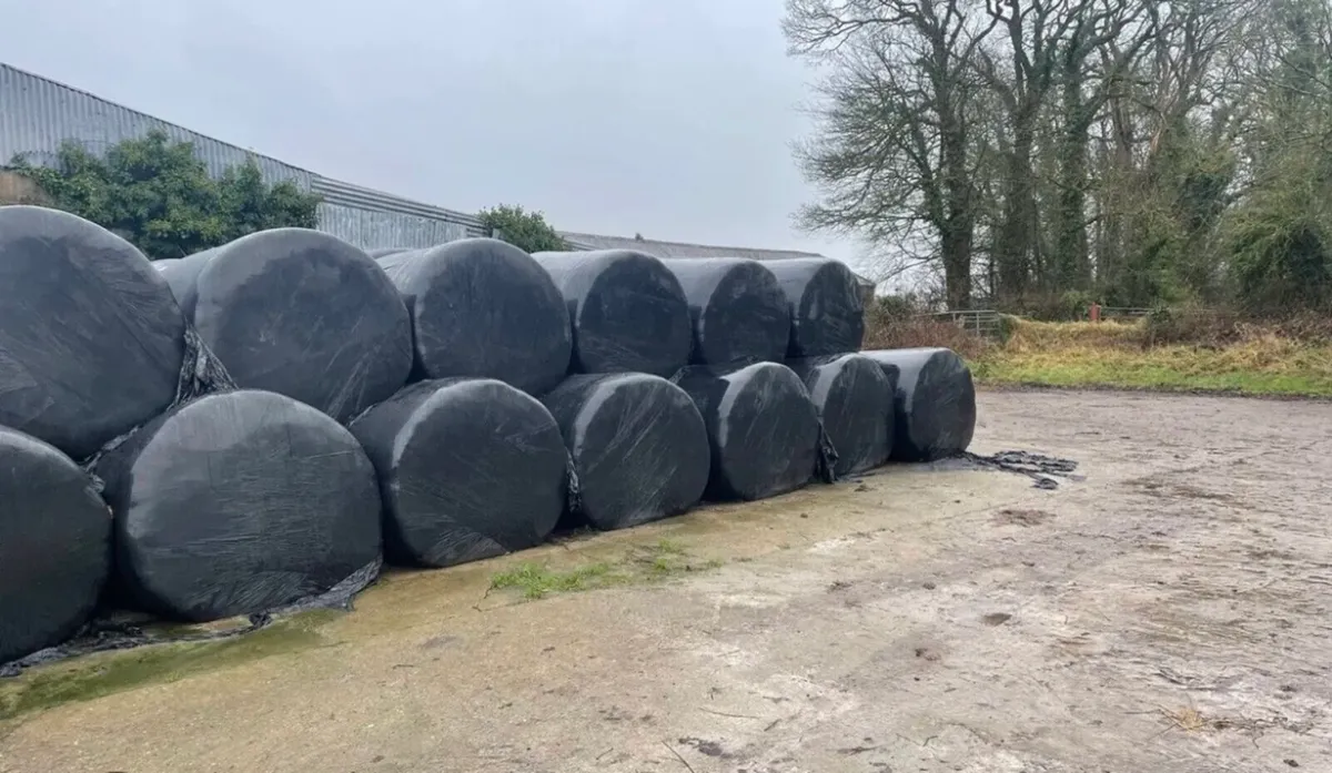Silage bales