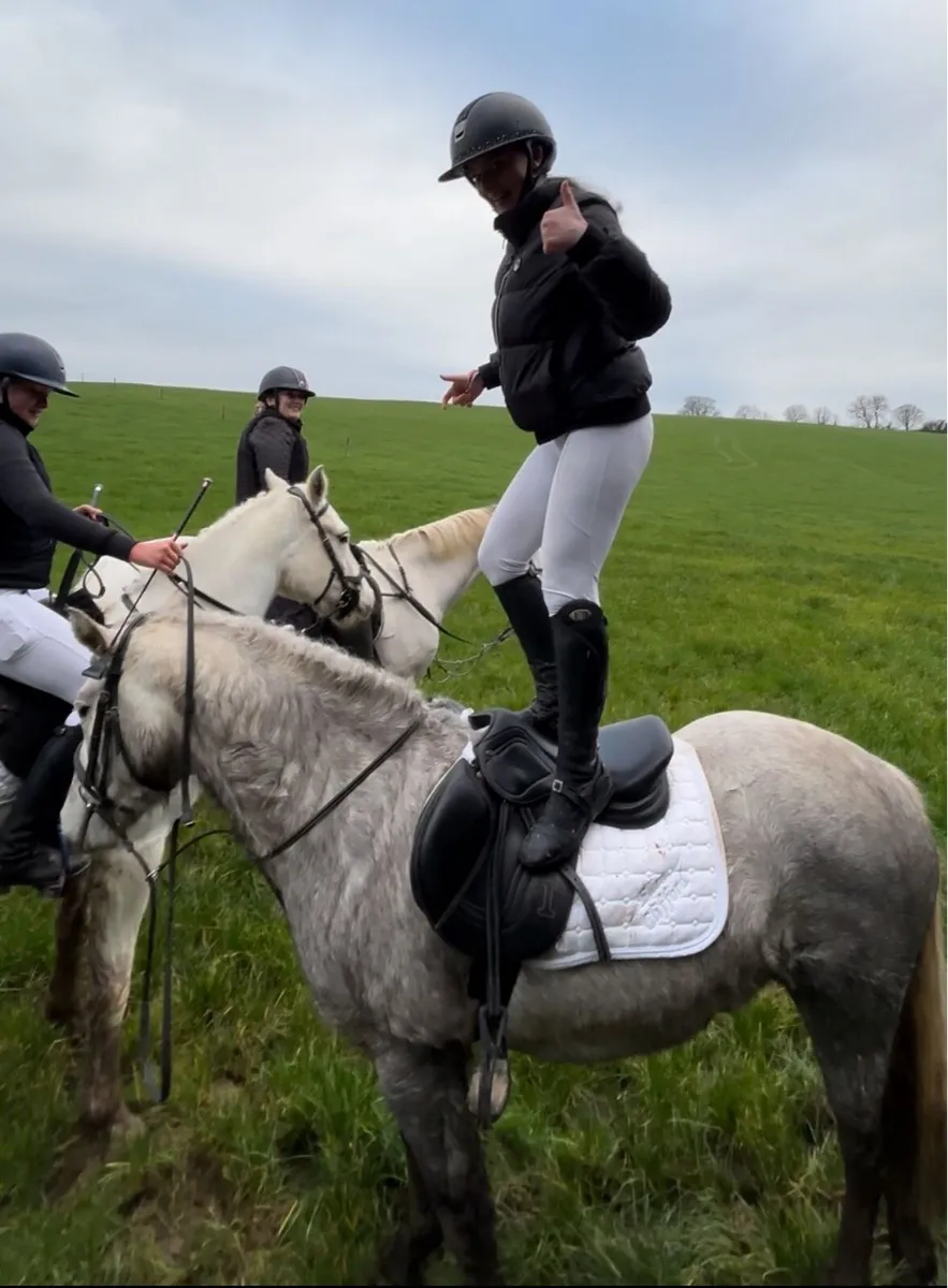 Beautiful Connemara 14.2 can jump (Dexter Pondi) - Image 3