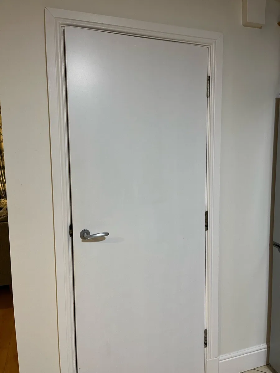 2 Internal painted doors