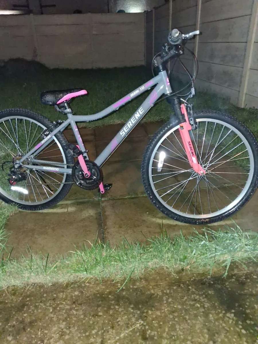 Girls mountain bike. - Image 1