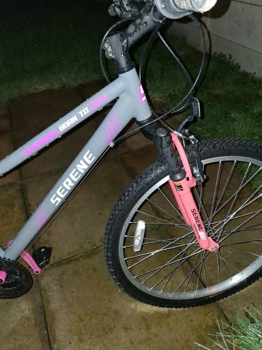 Girls mountain bike. - Image 2