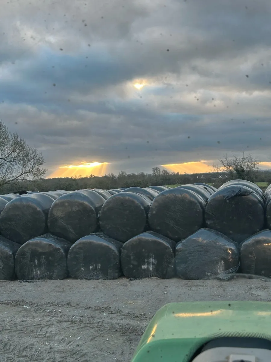Round bales silage