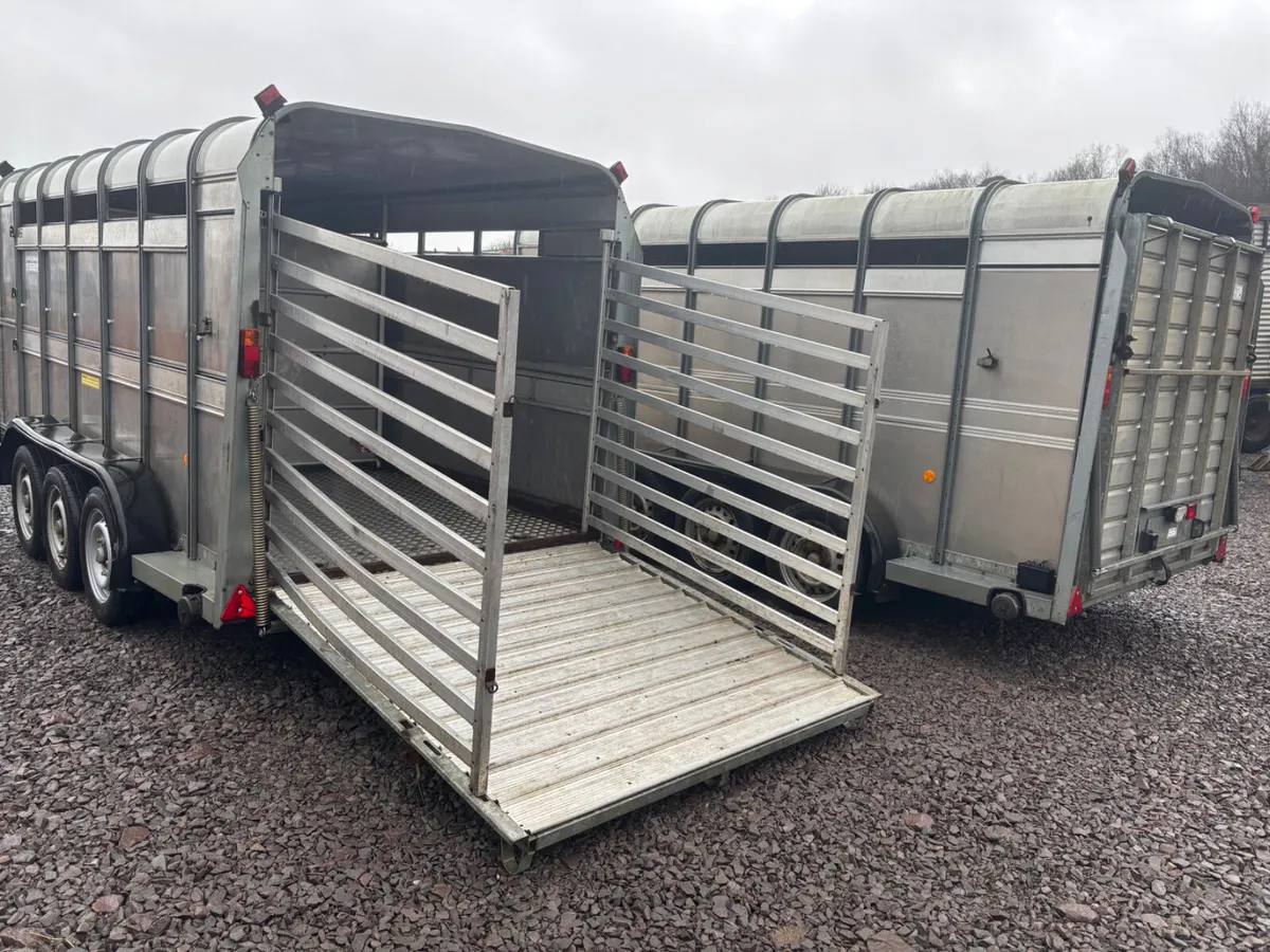 Ifor Williams 14ft cattle trailers - Image 4