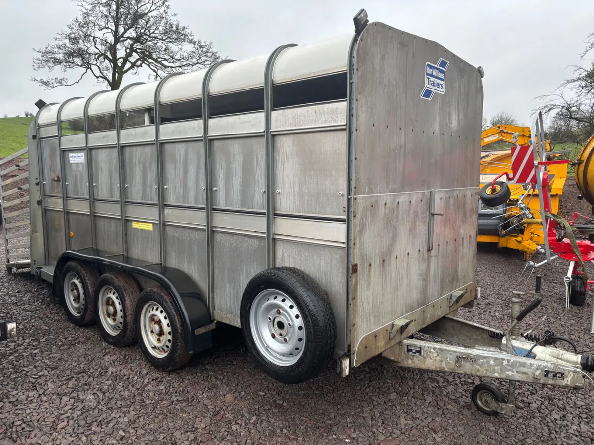 Ifor Williams 14ft cattle trailers - Image 2