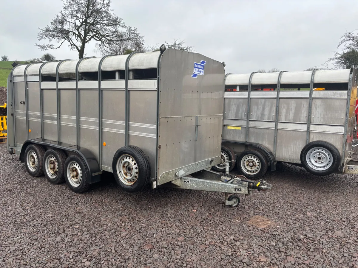 Ifor Williams 14ft cattle trailers - Image 1