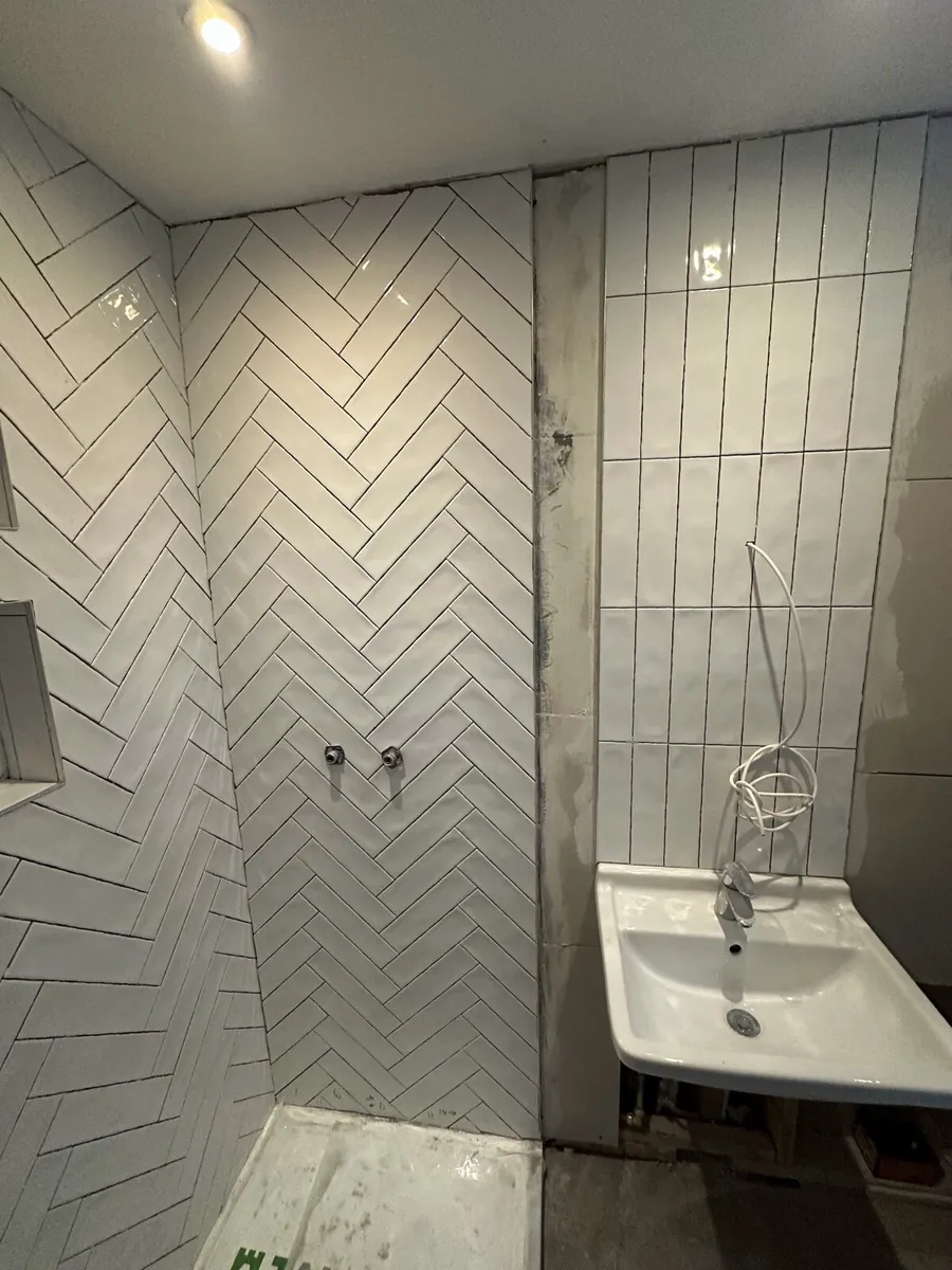 Bathroom & Home Renovation Tiling Painting Doors - Image 1