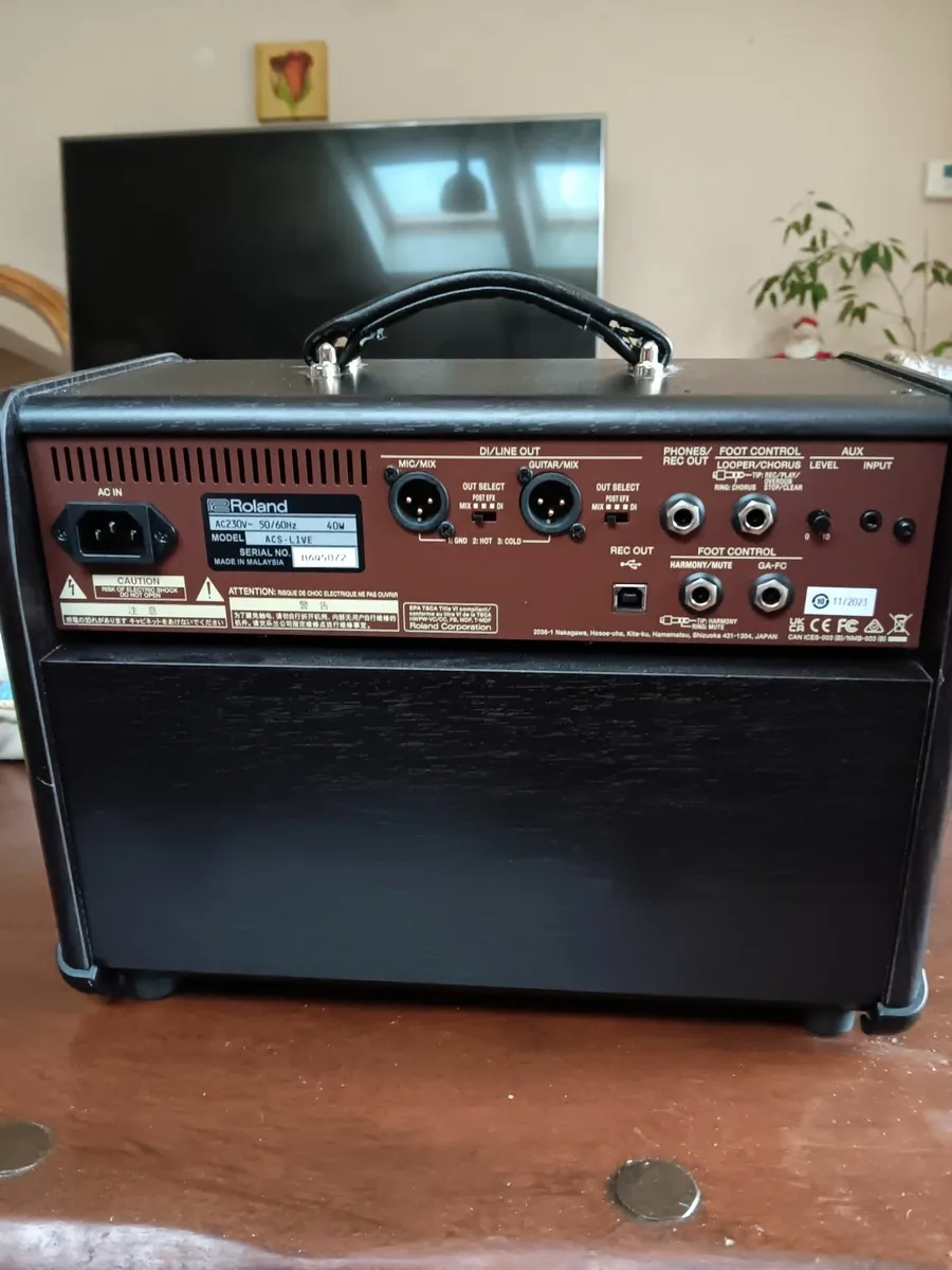 Guitar amp Boss Acustic Singer Live. - Image 3