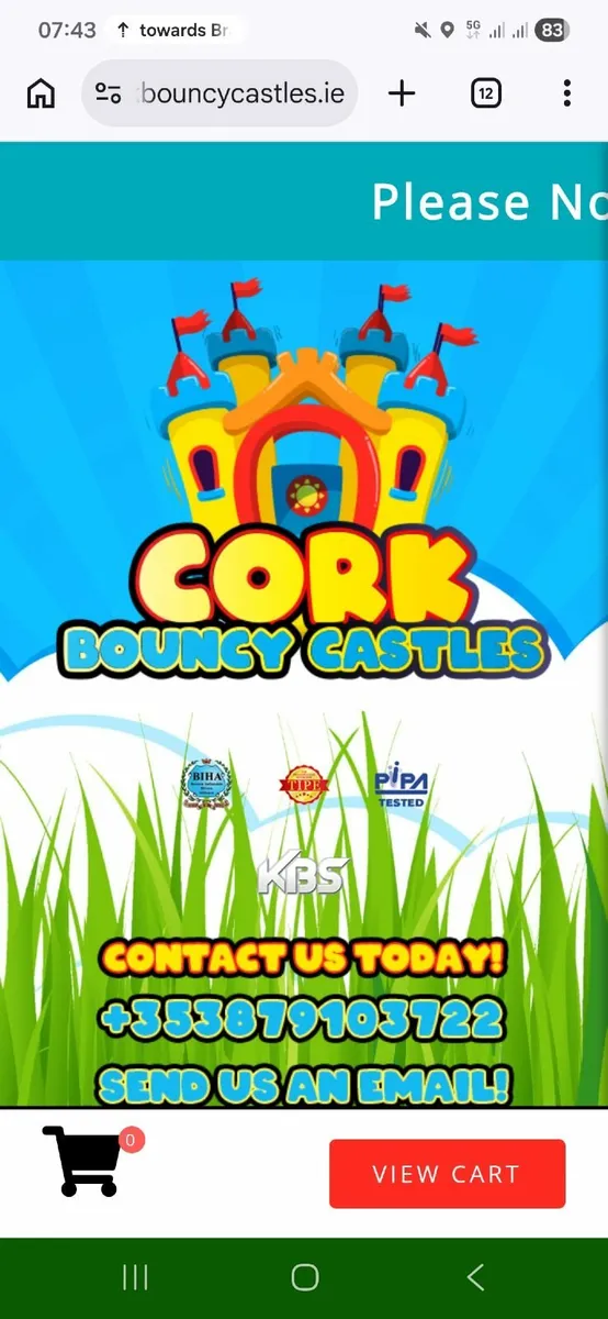 Bouncy Castle Business for sale - Image 1