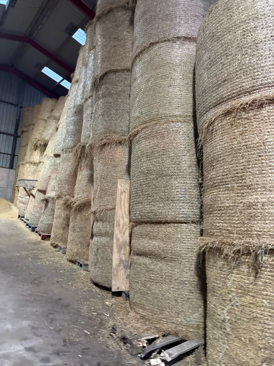 Wanted Round Bales of Hay - Image 3