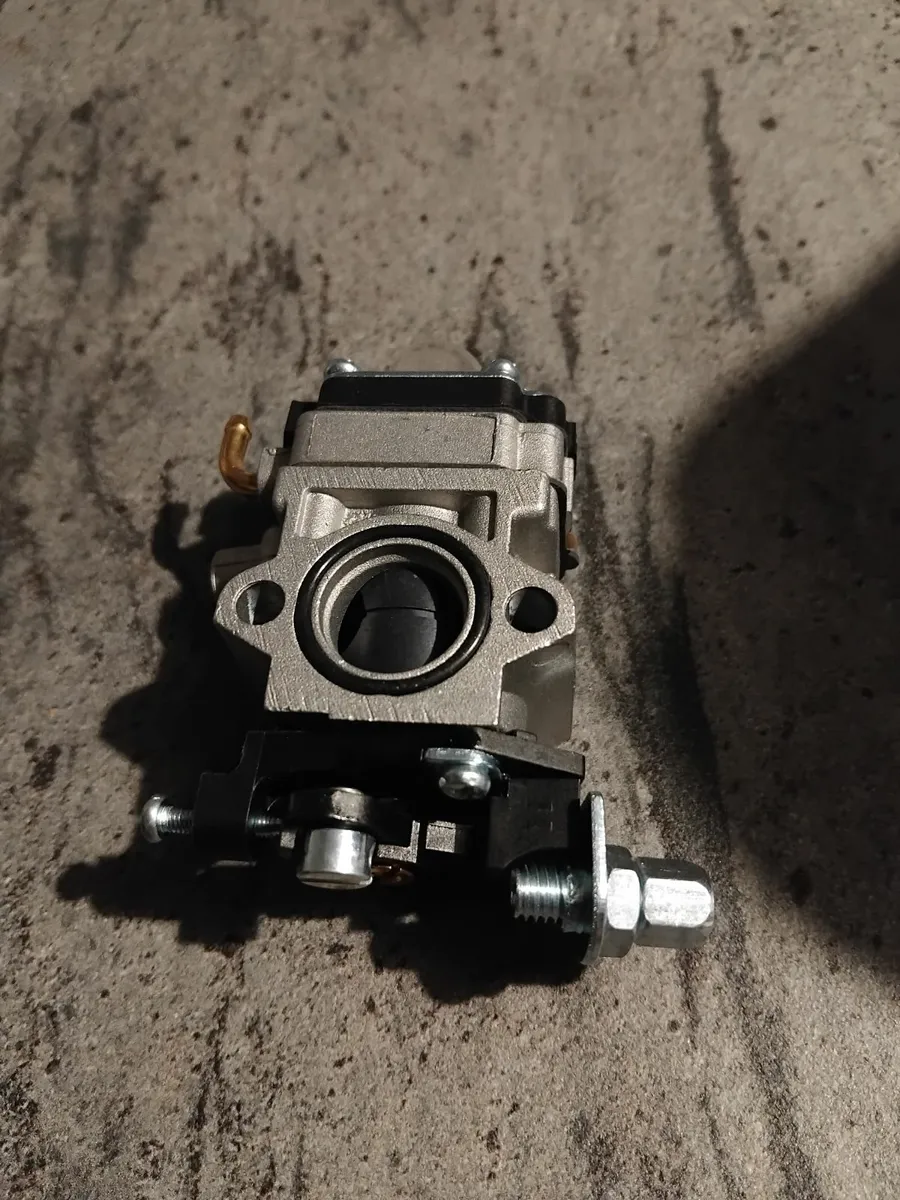 New carburettor for grass strummers hedge - Image 3