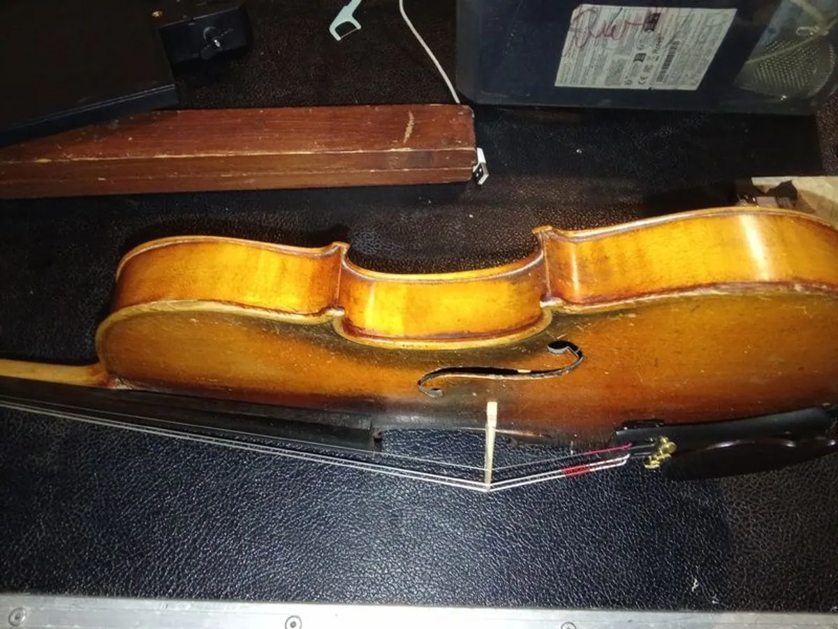 Violin 4/4 - Image 3