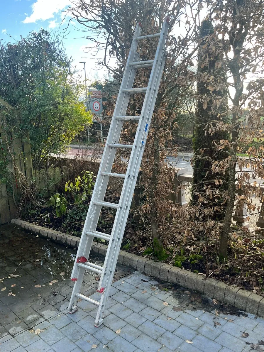Ladder - Image 4