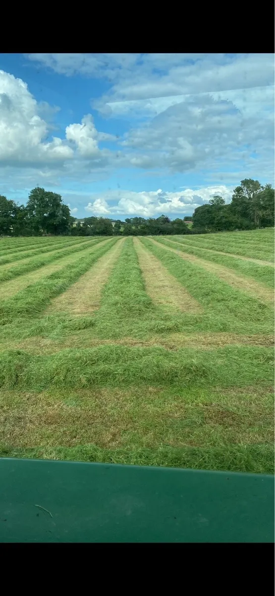 Baled Silage
